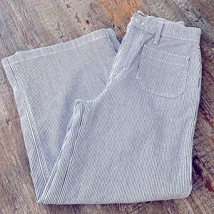 J. Crew Point Sur blue & white pinstriped pants cropped wide leg, Size 27.